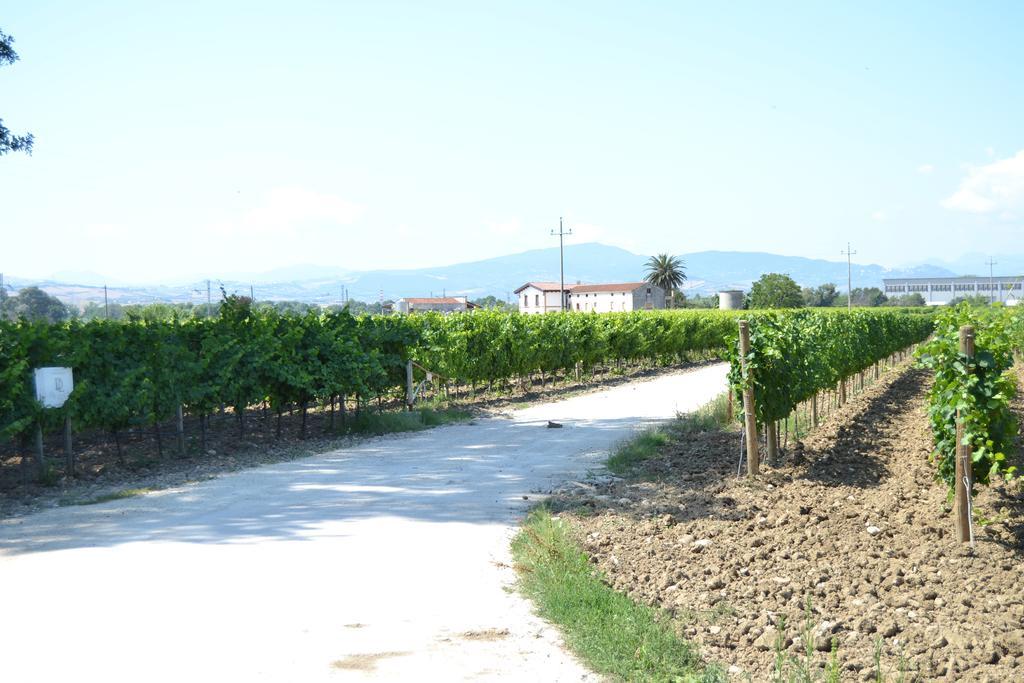 Agriturismo De Luca Mozzagrogna Exterior photo