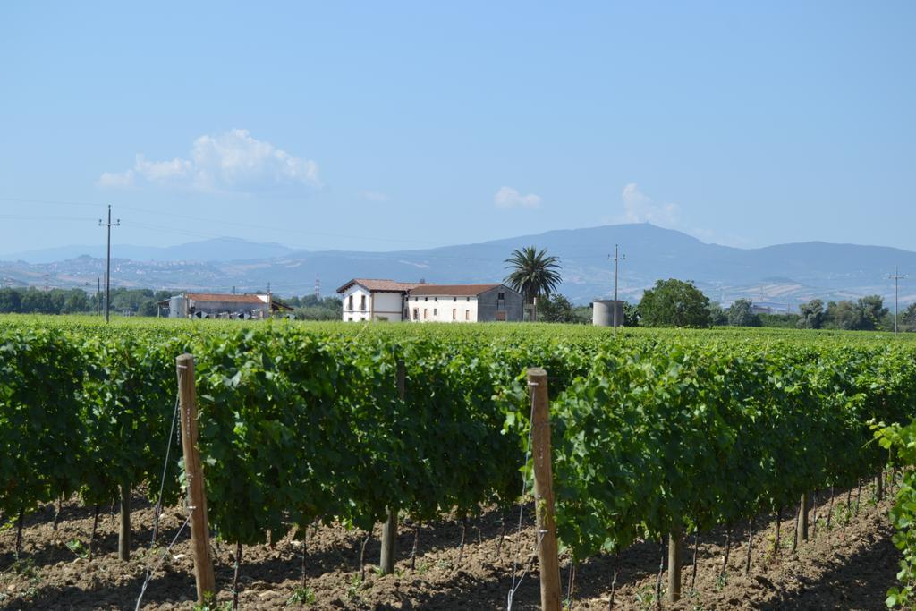 Agriturismo De Luca Mozzagrogna Exterior photo